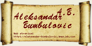 Aleksandar Bumbulović vizit kartica